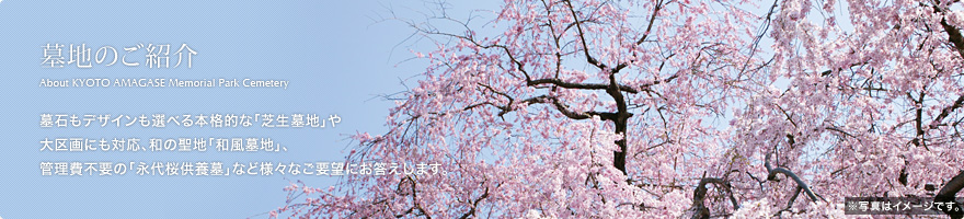 墓地のご紹介